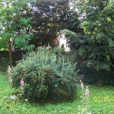 Zielony Apartament, Kielce, Targi, Centrum 外观 照片