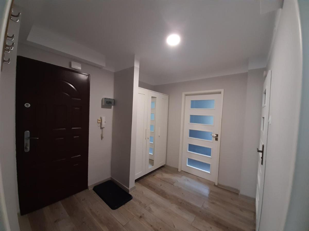 Zielony Apartament, Kielce, Targi, Centrum 外观 照片