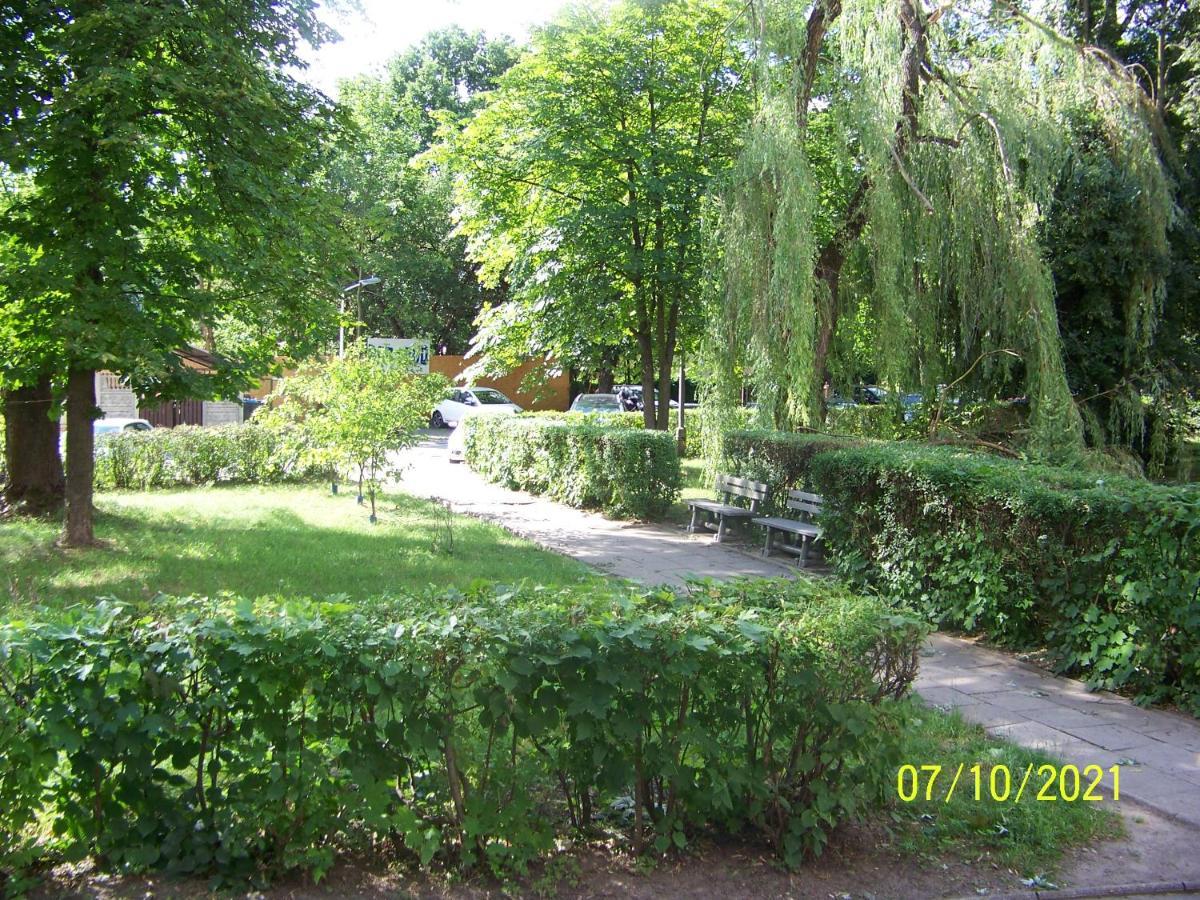 Zielony Apartament, Kielce, Targi, Centrum 外观 照片