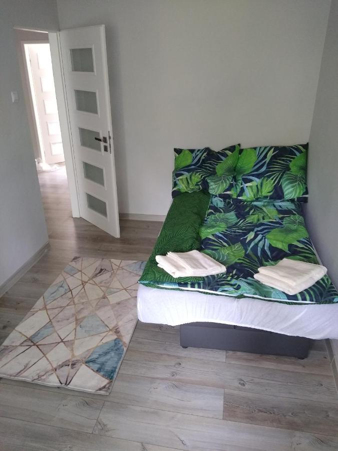 Zielony Apartament, Kielce, Targi, Centrum 外观 照片