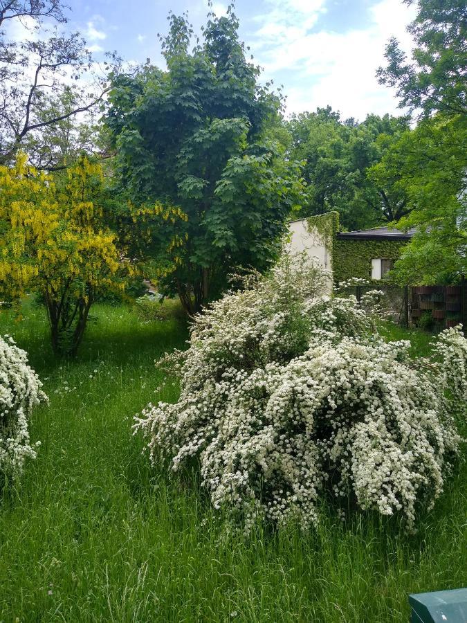Zielony Apartament, Kielce, Targi, Centrum 外观 照片